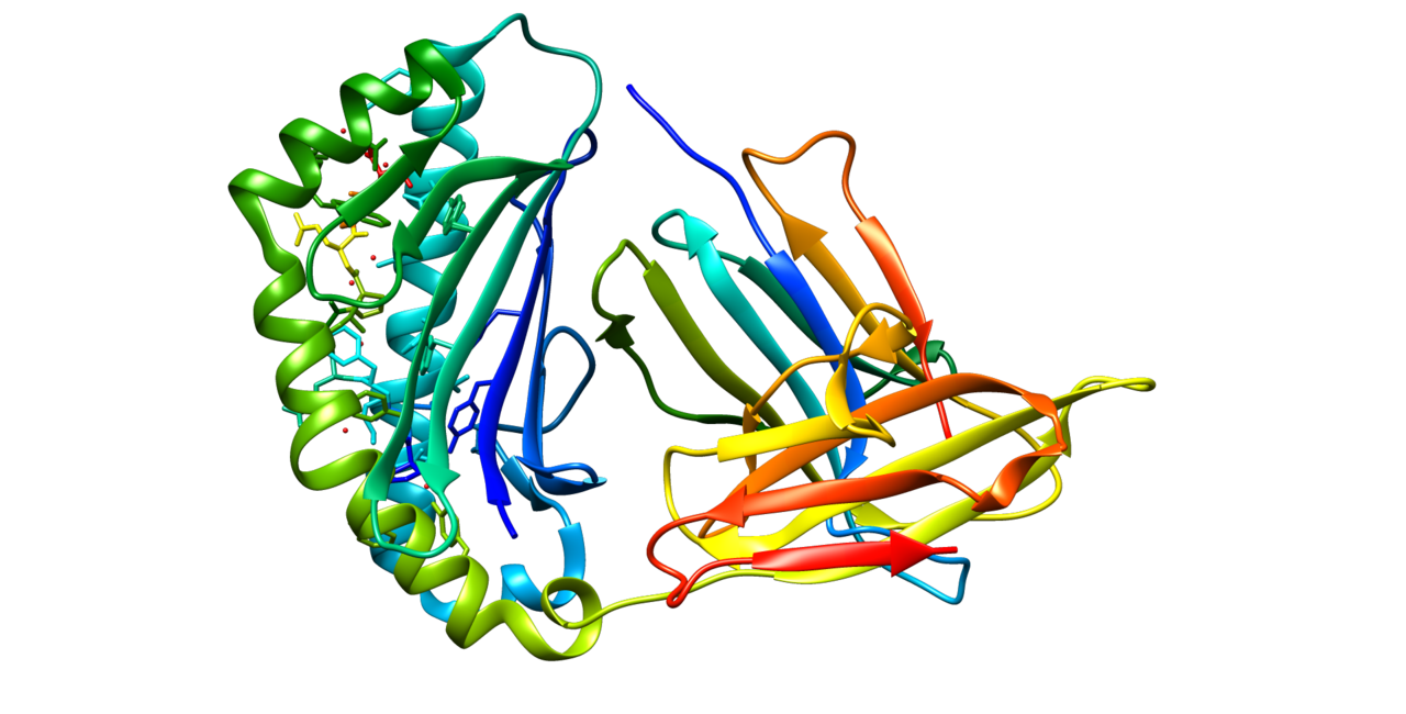 AFP (Alpha-Fetoprotein) Blood Test (alpha fetoprotein afp test) — afp blood test explained illustration