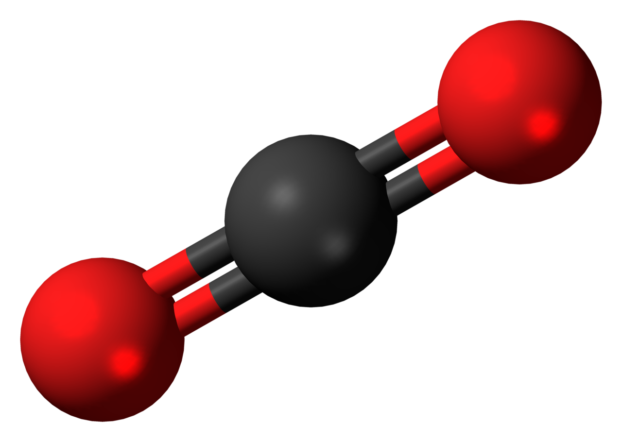 Bicarbonate ion 3D structure