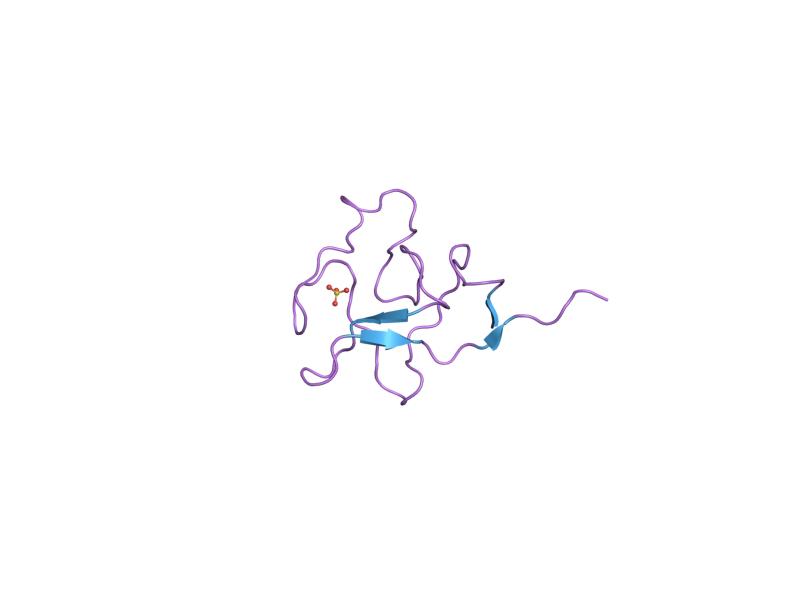 Lipoprotein(a) structure diagram