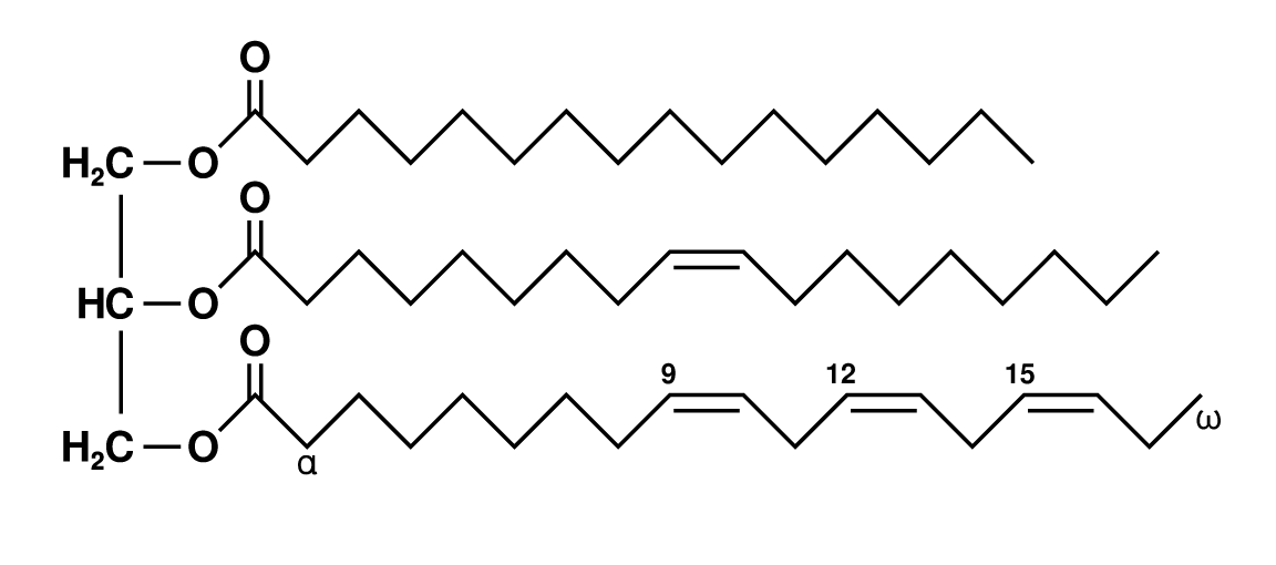 Triglyceride molecular structure